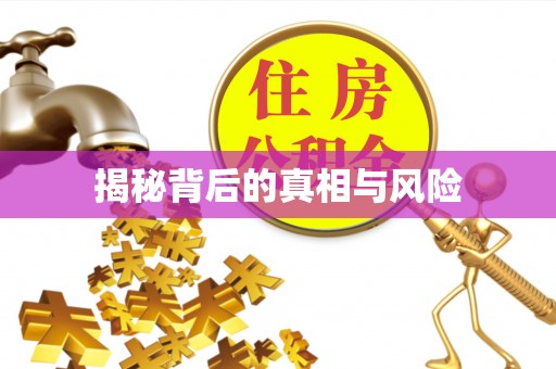 中卫揭秘背后的真相与风险