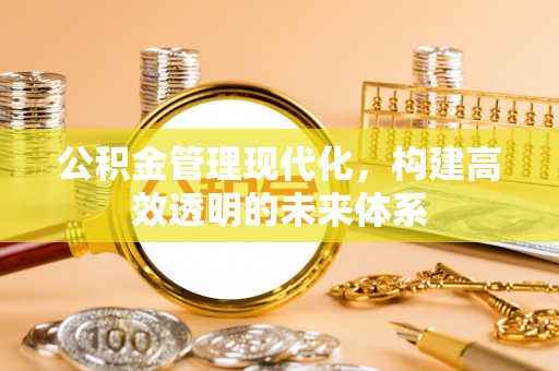 中卫公积金管理现代化，构建高效透明的未来体系