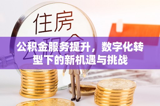 中卫公积金服务提升，数字化转型下的新机遇与挑战