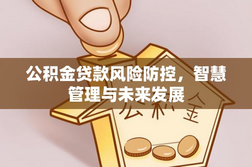 中卫公积金贷款风险防控，智慧管理与未来发展