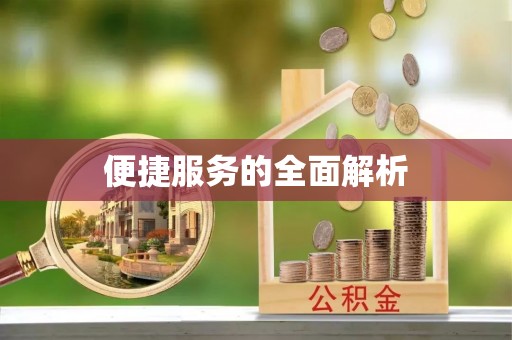 中卫便捷服务的全面解析