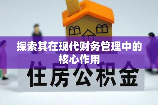 中卫探索其在现代财务管理中的核心作用
