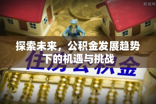 中卫探索未来，公积金发展趋势下的机遇与挑战