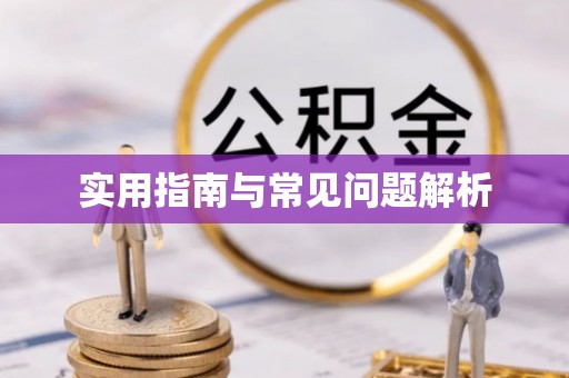 中卫实用指南与常见问题解析